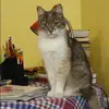 Отзыв от Серафима Петрова